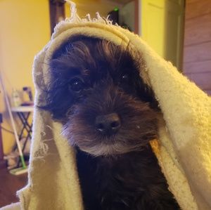 Meet your Posher, Lorie